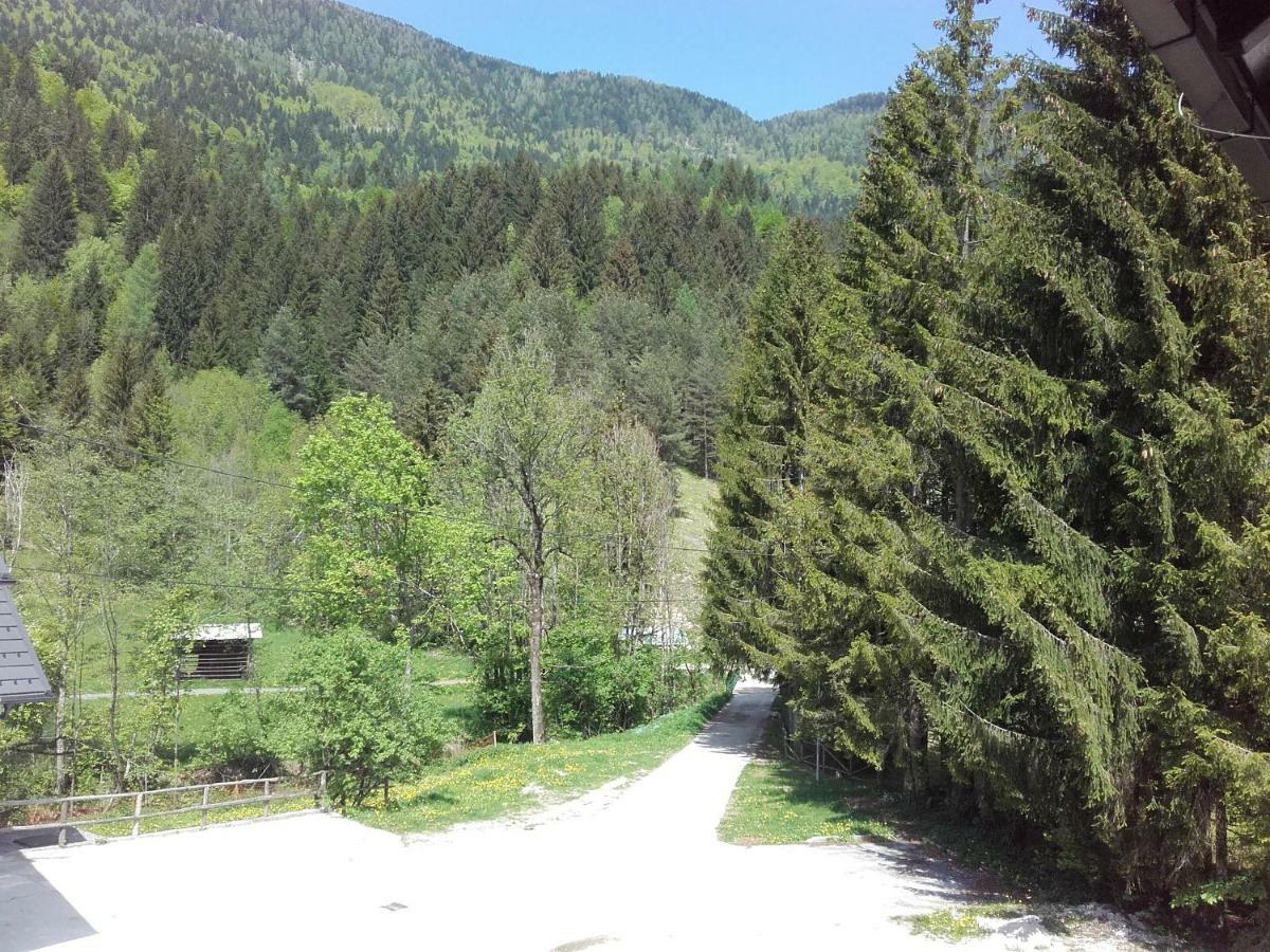 Klass 203 Apartmán *